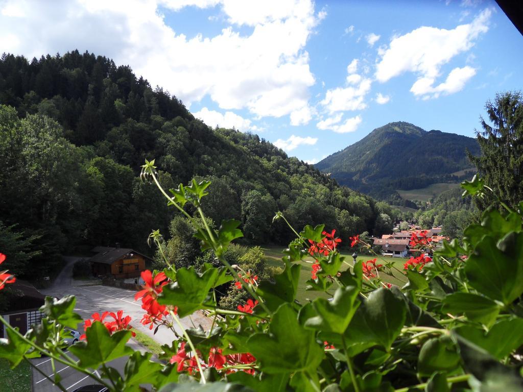 Bergschloessl Fewo 28 Oberaudorf Oda fotoğraf